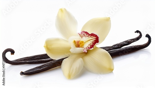 vanilla pod with a flower isolated on a white background