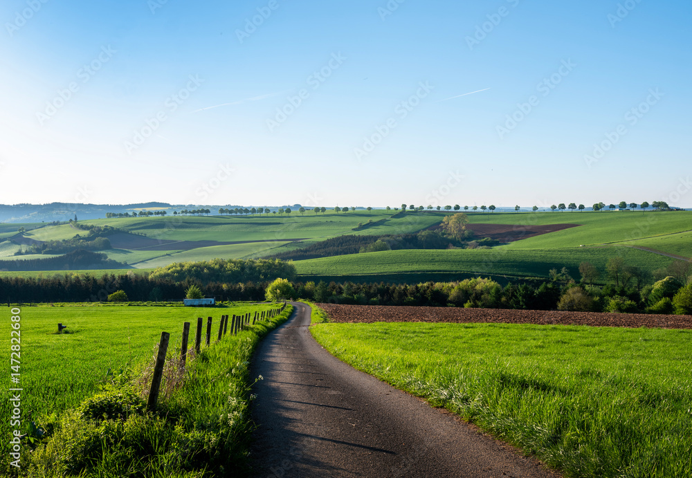 flowers and meadows in rolling hills of luxemburg countryside