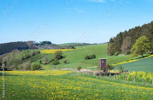 Obraz na płótnie flowers and meadows in rolling hills of luxemburg countryside w salonie