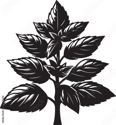 Mint leaf silhouette illustration vector art isolated illustration design element with white background