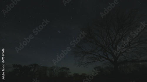 Timelapse of starry night sky with moon