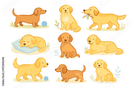 Playful golden retrievers in various poses on a light background  