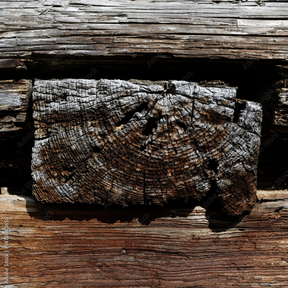 Obraz premium drewno