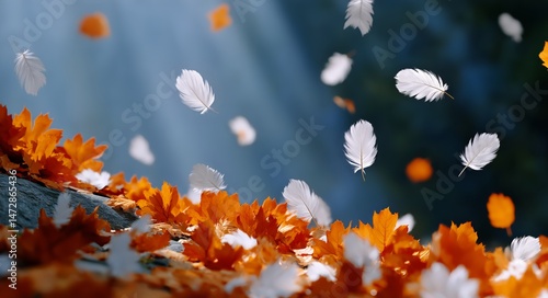 Majestic Autumn Leaves and Feathers Dancing in Sunlight During Tranquil Outdo...