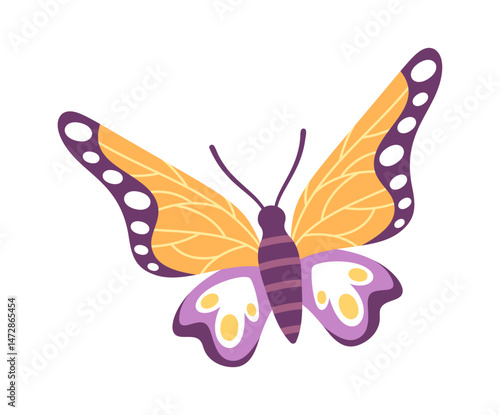 Photography Cute cartoon butterfly colorful element