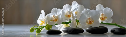 Elegant White Orchids With Black Stones on a Tranquil Surface in a Calm Setting