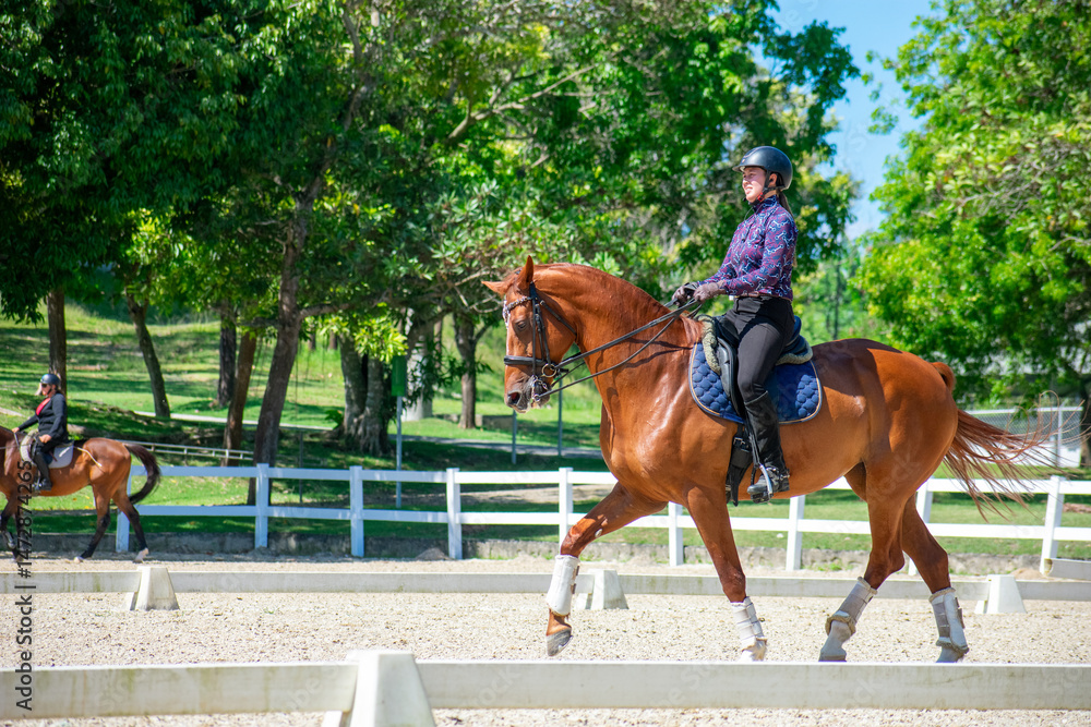 Young Woman Practicing Dressage on Chestnut Mare Young Woman Practicing Dressage on Chestnut Mare