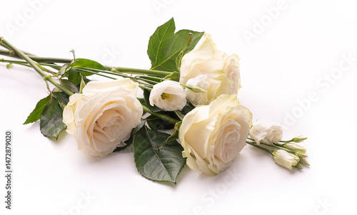 Three cream-colored roses and white buttercups lie on a white surface