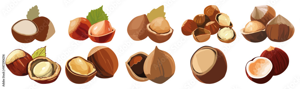 Fototapeta premium Set of Hazelnut with shelled Flat Vector Illustration on Transparent Background