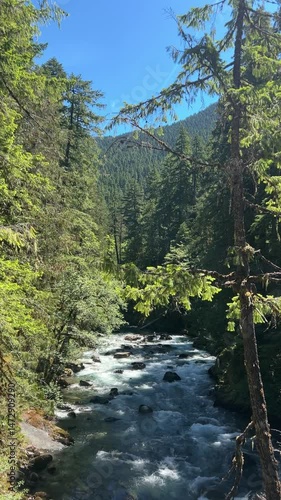 The Silver Falls river flows through a lush sunlit green forest