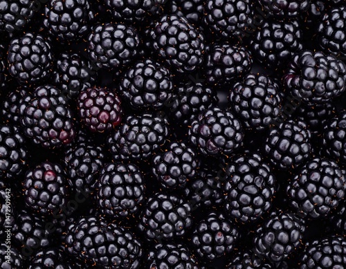 Wallpaper Mural Ultra-detailed macro close-up of fresh blackberries, high contrast and clarity, perfect for food backgrounds Torontodigital.ca
