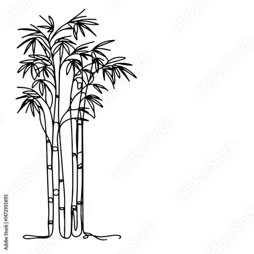 Black and white line art of tall bamboo plants gracefully swaying against a minimalistic white background, nature concept of interior design or home decor