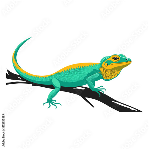 Anole vektor flat
