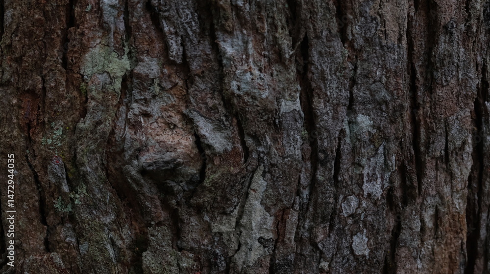 Detailed Tree Bark Texture with Deep Grooves Background for Rustic and Natural Backdrops Detailed Tree Bark Texture with Deep Grooves Background for Rustic and Natural Backdrops
