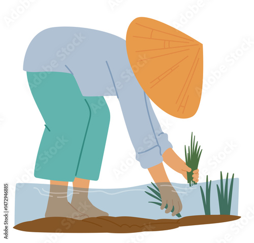 Asian famer cartoon character planting rice seedlings in ground under water isolated scene