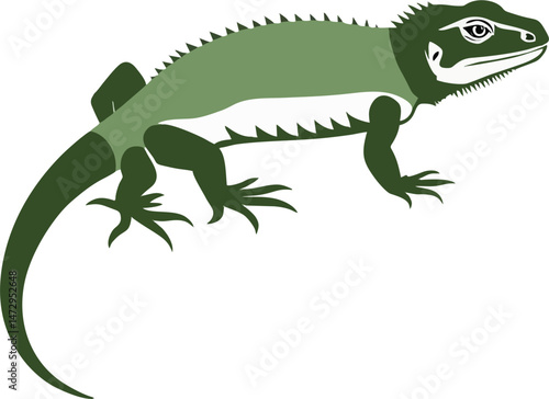 uromastyx lizard animal vektor