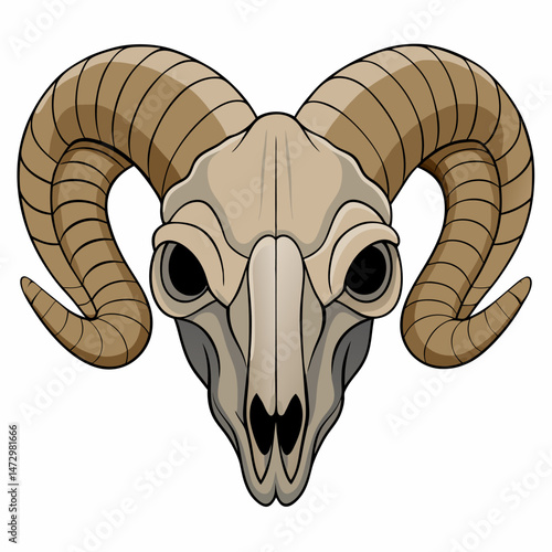 Ram Skull Illustration: A detailed and intricately drawn ram skull illustration, showcasing the animal's bony structure, curled horns, and empty eye sockets. Captures the essence of skeletal anatomy.