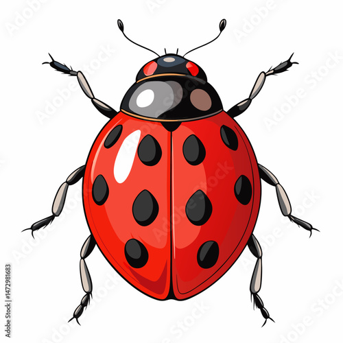 Ladybug's Red Shell: A close-up view of a ladybug with its iconic red shell and black spots, showcasing the intricate beauty of the insect in a vivid display.