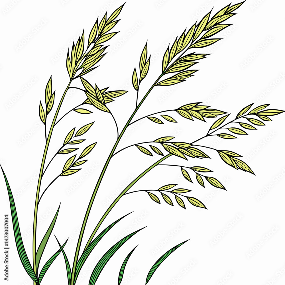 Obraz premium Creative Grass Vector Illustration | Beautiful Green Grass Design for Nature, Landscape, Gardening, and Eco-Friendly Projects