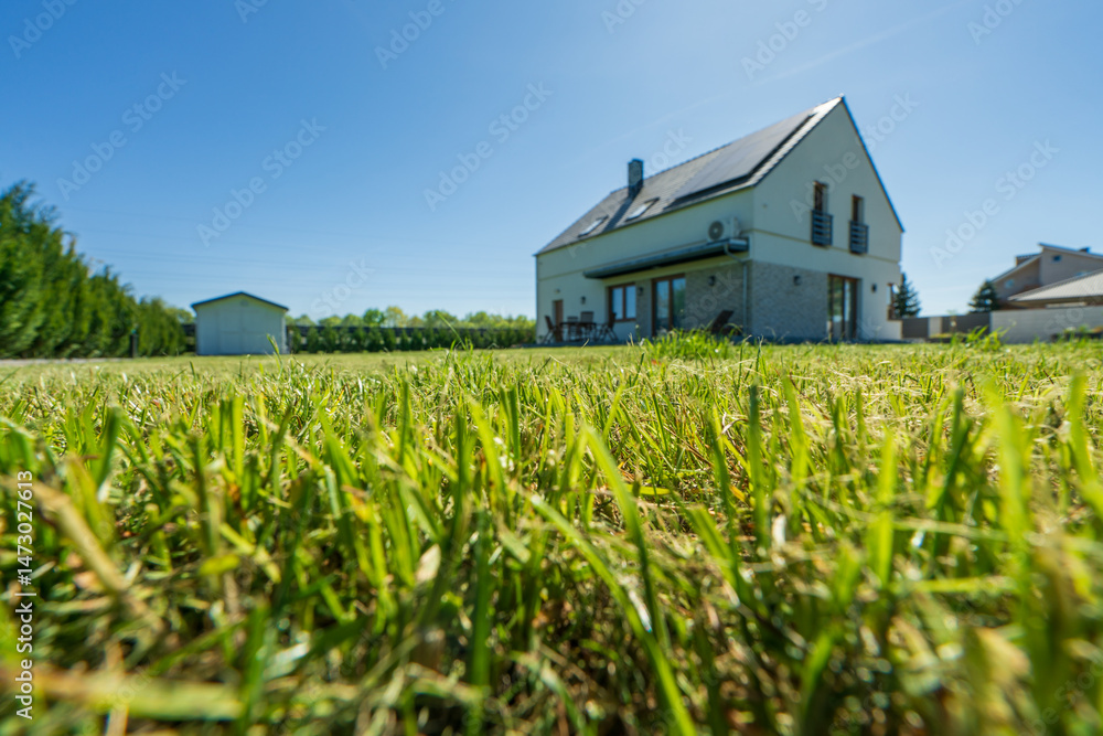 Freshly cut grass with blurred fully detached house in the background. Selective focus on the grass