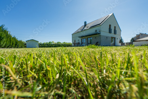 Obraz na płótnie Freshly cut grass with blurred fully detached house in the background. Selective focus on the grass w salonie