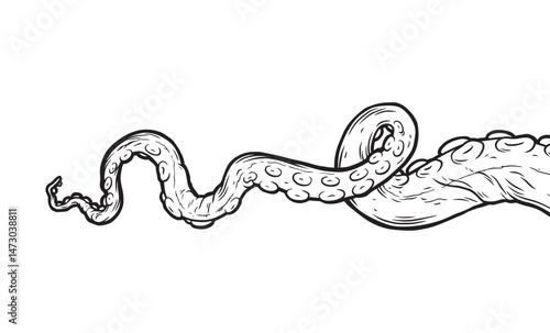 Tentacles of octopus, vector hand drawn collection of illustrations. Black and white engraving style drawings. Tentacle straight and with rings in different angles.