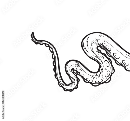Tentacles of octopus, vector hand drawn collection of illustrations. Black and white engraving style drawings. Tentacle straight and with rings in different angles.