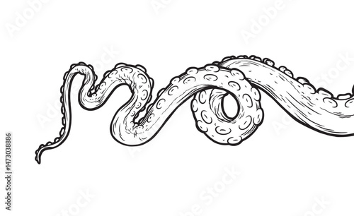 Tentacles of octopus, vector hand drawn collection of illustrations. Black and white engraving style drawings. Tentacle straight and with rings in different angles.
