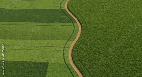 Aerial View of Lush Green Fields Divided by a Winding Path