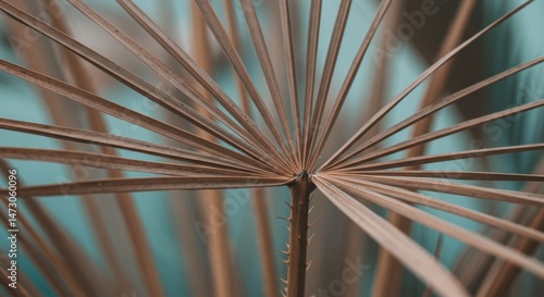 Close-Up of Brown Plant Leaves Against Teal Background