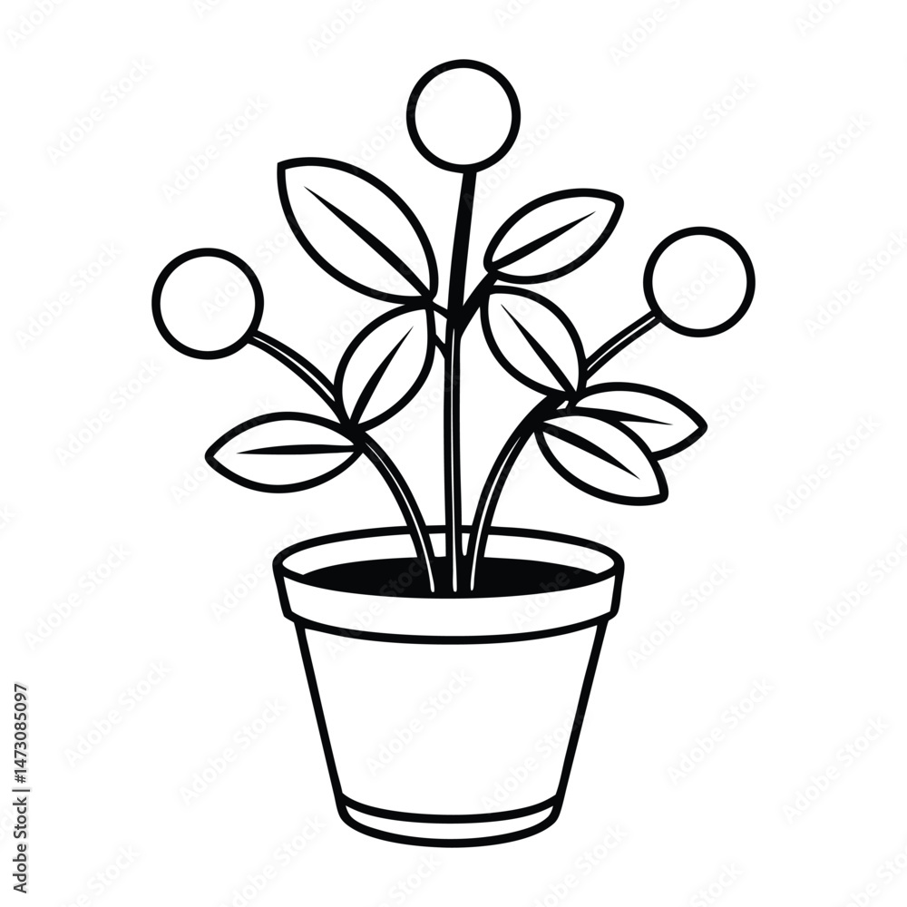 Plant with round leaves in pot isolated on white background vector Plant with round leaves in pot isolated on white background vector