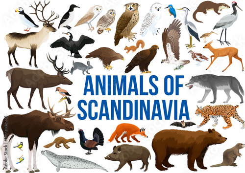 vector set - animals of scandinavia