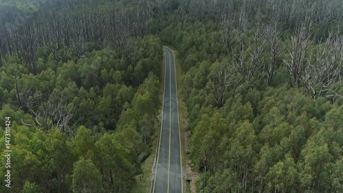 Aerial View of Alpine Road and Forest in Lake Mountain Marysville, Victoria, Australia