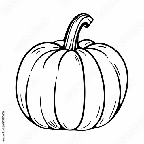 Classic autumn harvest pumpkin - line art vector illustration in white background
