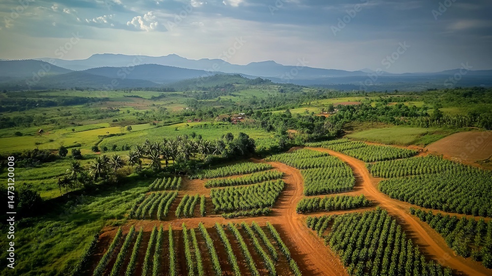 Fototapeta premium Aerial View of Lush Green Agricultural Fields with Distant Mountains
