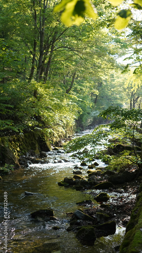 Obraz premium 풍경