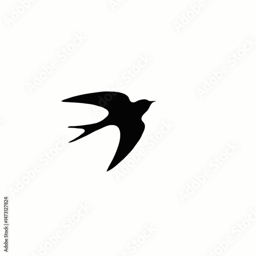 Swallow Bird vector Silhouette, Silhouette of the flying Swallow bird 