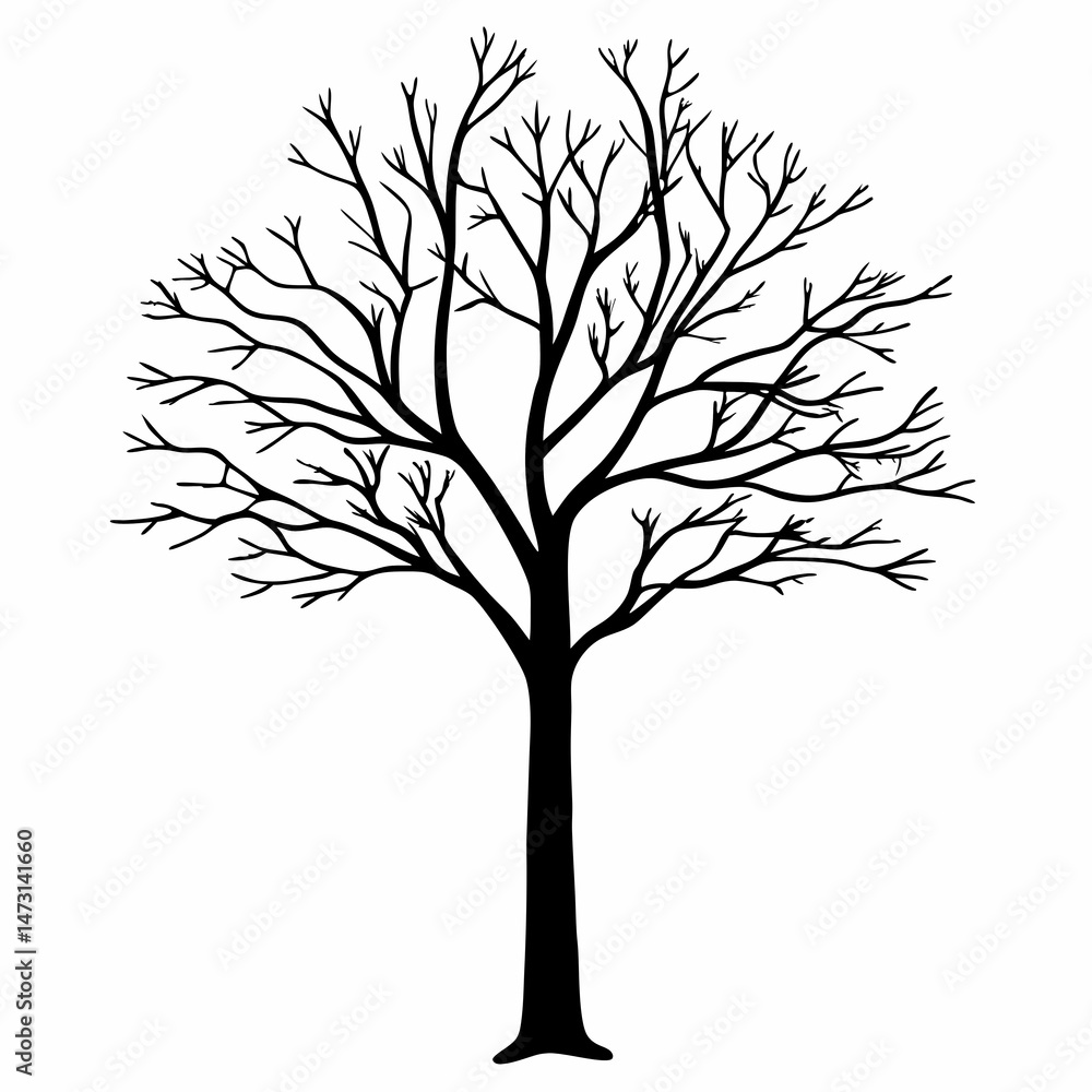 Obraz premium Leafless autumn tree silhouette - line art vector illustration in white background