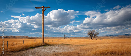 Open field of golden grass under a blue sky with clouds and powerlines