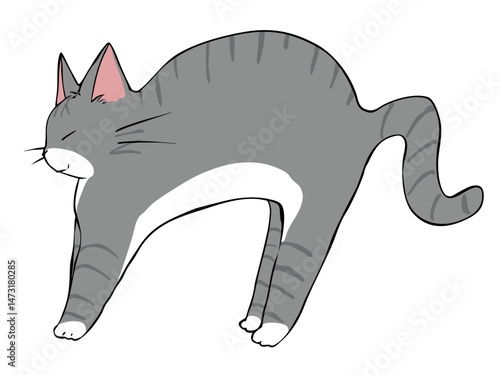 サバトラねこ のびる