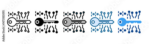 Cryptographic Key Icon Set Multiple Style Collection
