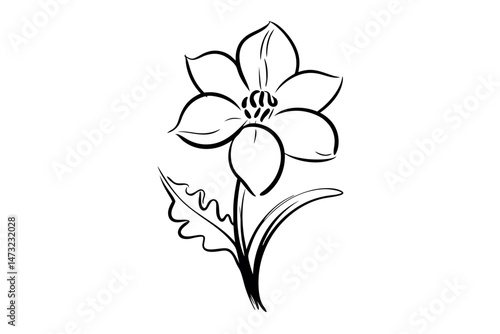 Simple black and white floral illustration with delicate lines of a single flower on white background