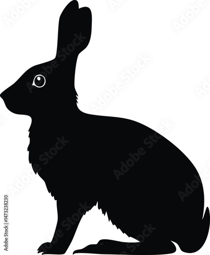 Rex rabbit silhouette illustration
