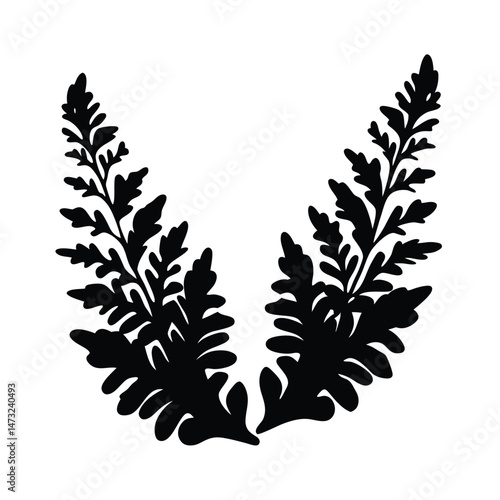 Black silhouette of a fern leaf with intricate patterns on a white background