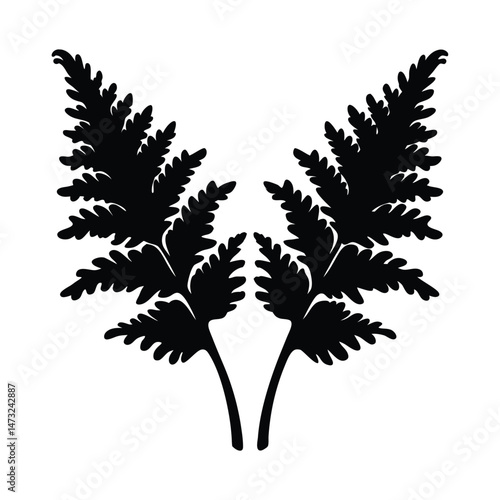 Black silhouette of a fern leaf with intricate patterns on a white background