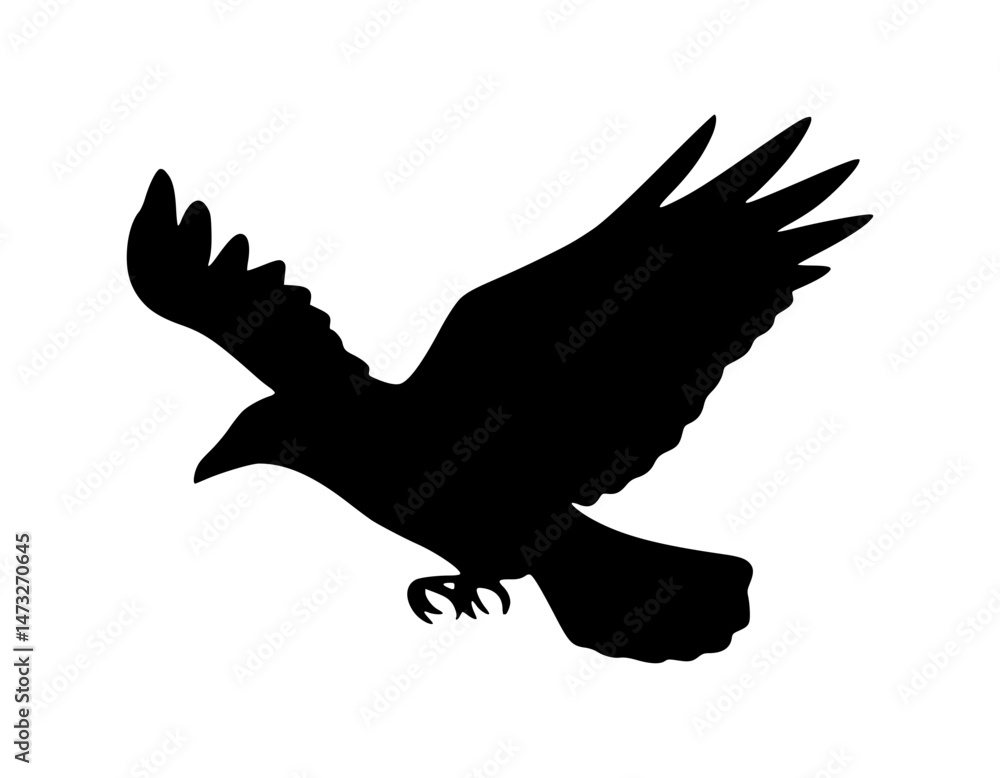Fototapeta premium Silhouette Raven Flying - Black Bird Graphic