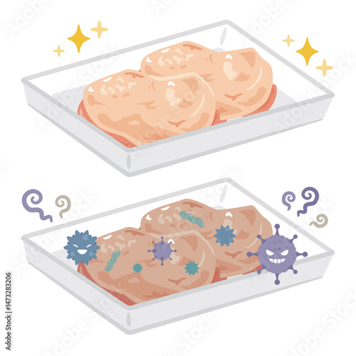 傷んだ鶏肉と新鮮な鶏肉のイラスト