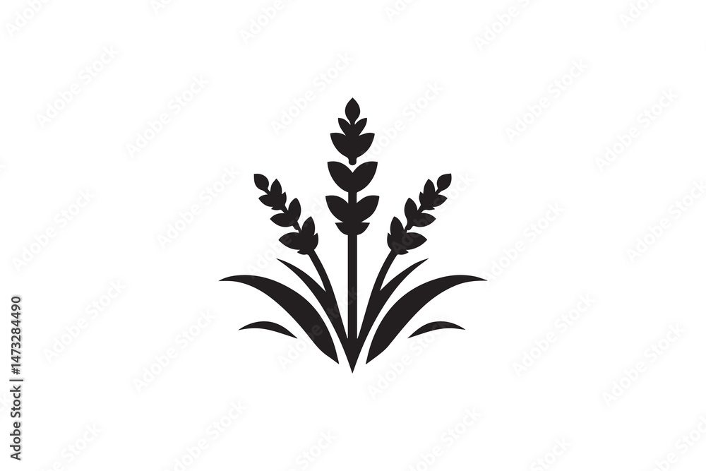 Fototapeta premium simple and unobtrusive Lavender flower vector silhouette illustration isolated in white background