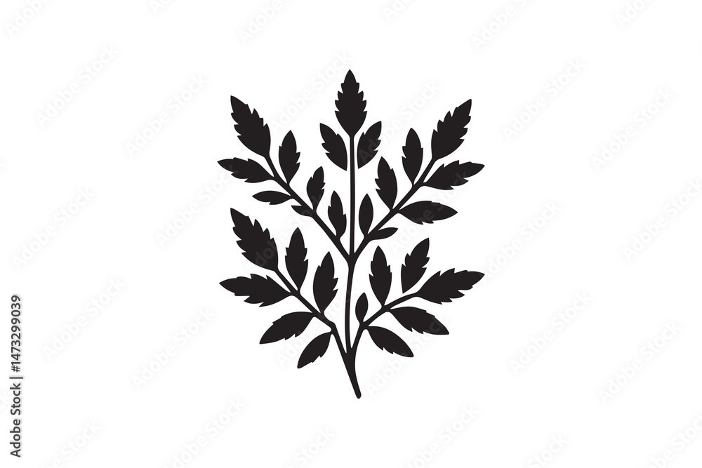 Fototapeta premium simple and unobtrusive Leafy herb vector silhouette illustration isolated in white background