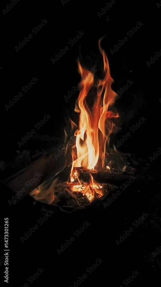 Mesmerizing Campfire Flames Dancing Against the Night's Darkness, Emitting Warmth and Light Mesmerizing Campfire Flames Dancing Against the Night's Darkness, Emitting Warmth and Light